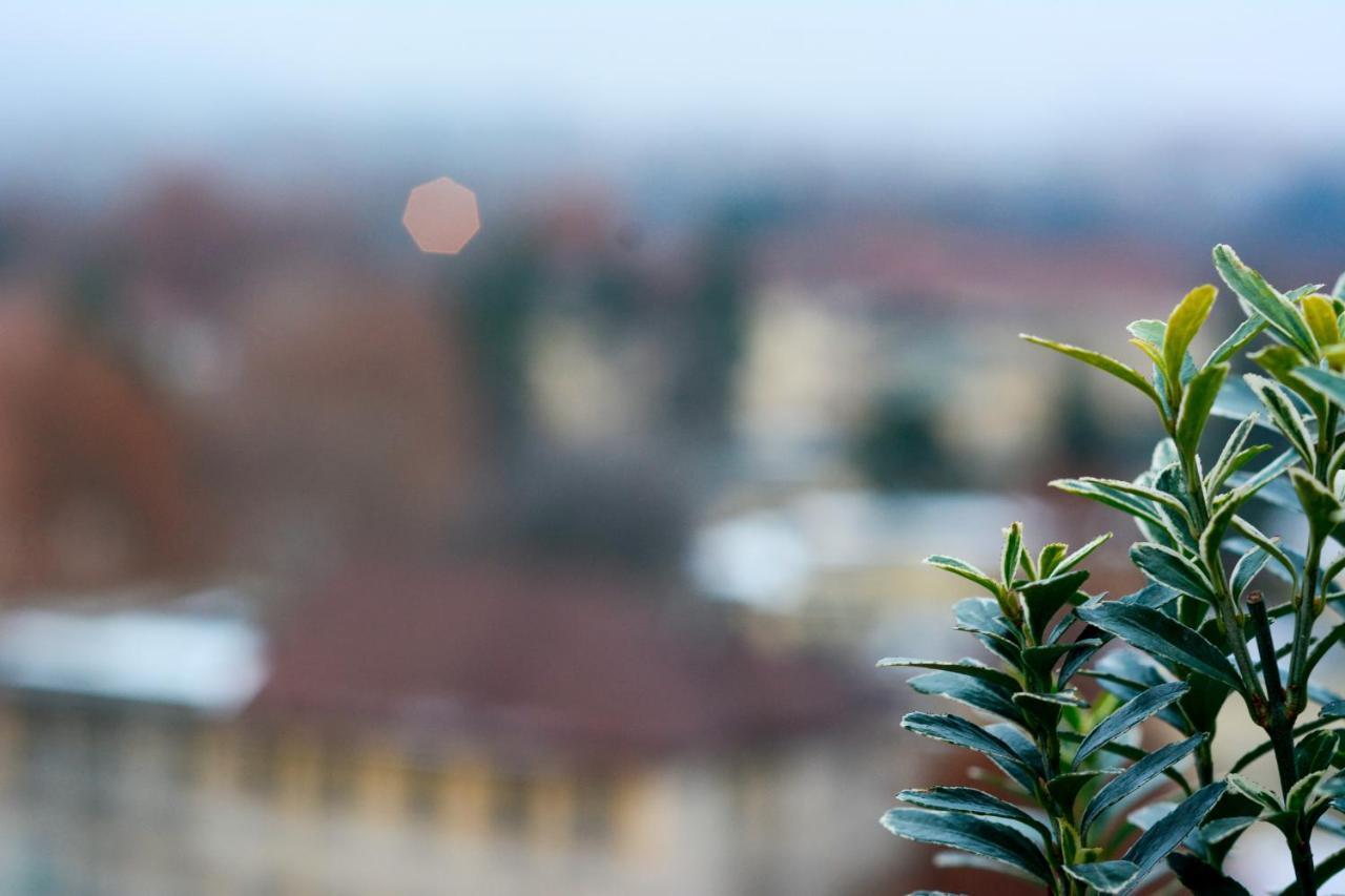 Sunny Side I Turin Suite Bagian luar foto
